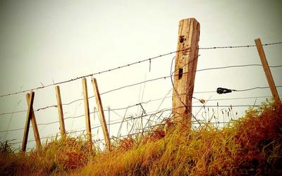 Bb艾弗森官方网站首页欢迎界面展示